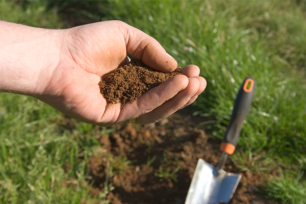 An image of us collecting soil for testing